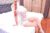 Ataköy Escort Bayan Nehir